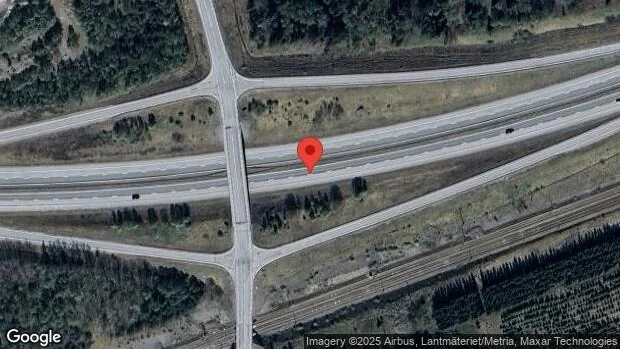 Vildsvin på vägen kan skapa fara på E20
