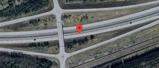 Vildsvin på vägen kan skapa fara på E20