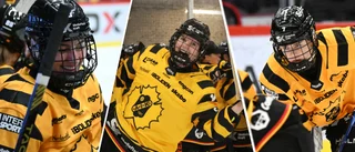Bekräftat – trion lämnar Skellefteå AIK