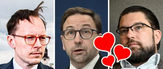 "Plötsligt tycker mina kompisar att Sverigedemokraterna är okej"