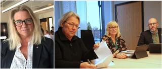 S och M vill utreda uppdelning av Gotland i region och kommun
