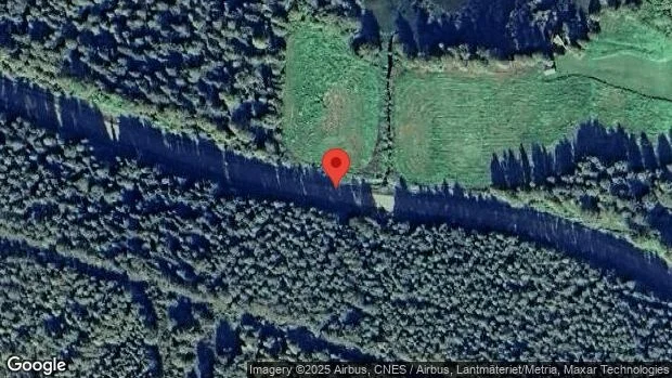 Problem i trafiken efter nedfallna träd på väg 785