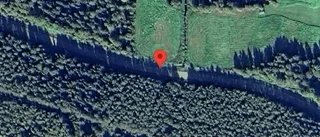 Problem i trafiken efter nedfallna träd på väg 785