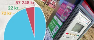 Miljonregnet: Så mycket tjänar apparna – när du parkerar