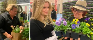 Explosioner och vulgaritet – när stjärnfloristen får bestämma