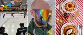 Flygande fästingar skapar panik i Norrbotten