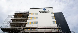 Liberalerna lovar luftslott om Akademiskas framtid