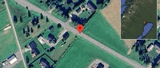 Stopp på väg 580 på grund av viltolycka med en personbil