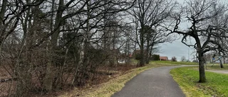 Domstolens beslut: Inga hinder för flerfamiljshus i Varamon