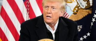 Trump har sparkat tiotals granskare