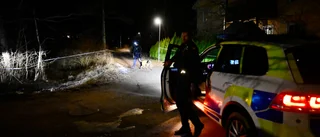 Flera skott mot lägenhetsdörr