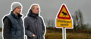 Daniel och Martin vädjar: Sätt upp fler viltstängsel längs väg 34