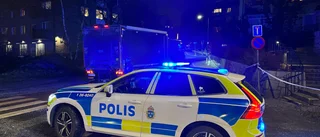 Polisen oskadliggjorde handgranater