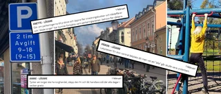 Det formligen sprutar idéer – ta del av alla tankar