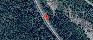 Trafikverket varnar för älg på vägen på E22