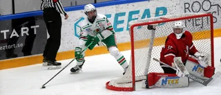Lämnade Vita Hästen för att leva drömmen i SHL-organisationen