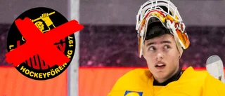 Så ser Härenstam-uppgörelsen ut