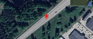 Stopp på E4 på grund av viltolycka med en personbil