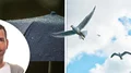 VÄDER: Varmast imorgon – sen blandat regn och solsken