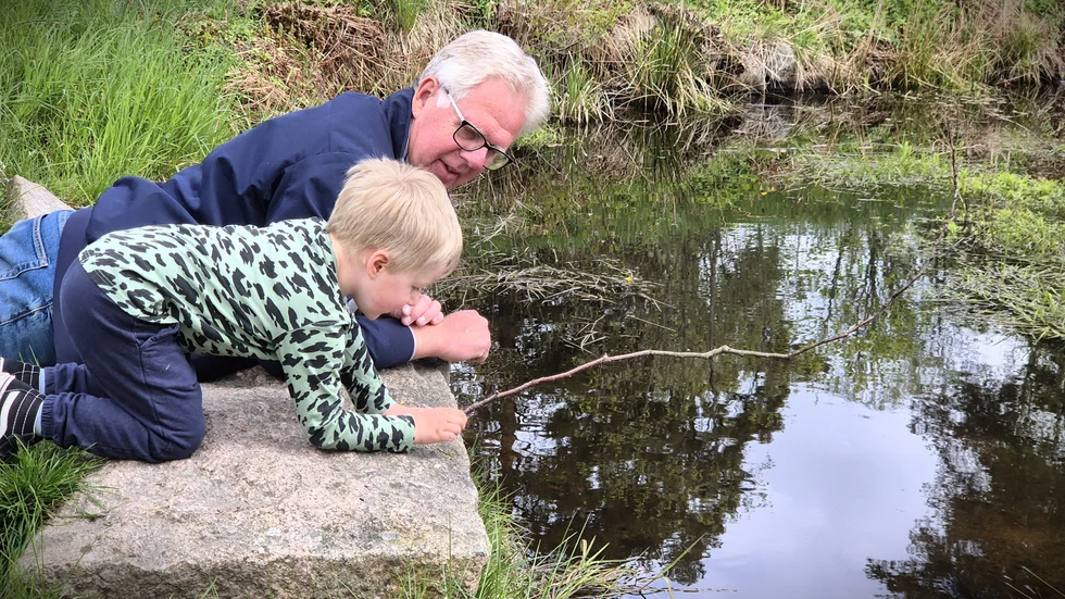 Stefan Fredriksson och barnbarnet Alfons, 3, gillar att leka i Gästgivarehagen. "Vi fiskar haj", berättar Alfons. Det är lekar av det här slaget som lagt grunden till barnboken "En bra pinne förlänger livet."