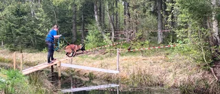 Blöta succén: Ida och Lucas idé blev verklighet