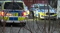 Polisens insatsstyrka gjorde stor insats i Piteå under natten