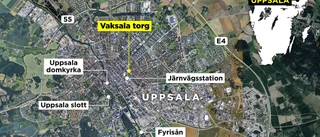 Trippelmordet i Uppsala: Det här vet vi