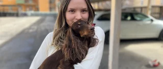 Okänd kvinna attackerade Emilia och Cooper under kvällspromenaden