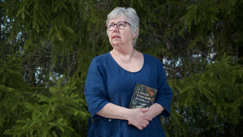 Britta Stenberg bor i Rentjärnberg, Malå, är född 1951 och har tidigare gett ut ett tiotal böcker, bland annat ”Pigdrömmar” (1992), ”Eldfåglar” (2002), ”Som en krympfotad” (2012) och ”Kvar” (2019). Nu är hon aktuell med ”I skogen finns bara ögonblick”, en diktsamling som även inrymmer en sammanhållen berättelse.