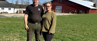 Lantbrukare begärde mejeriet i konkurs – får inga pengar: "Tufft"