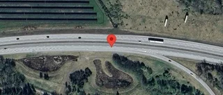 Varning för älgkalv på vägen på E20