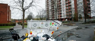 Nya insatser mot råttorna i Årby – så ska djuren stoppas
