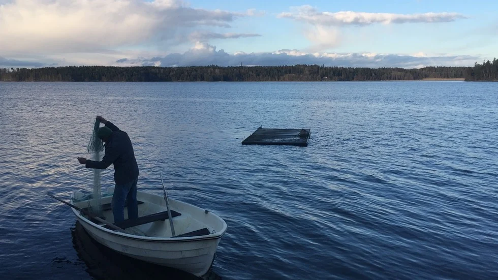 Nätfiske pågår - något som markägare runt Sillen vill ha ett tillfälligt fiskeförbud omkring. Ett förbud som bör gälla från och med nu fram till midsommar.