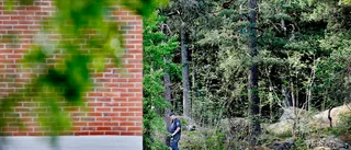 22-åringen misstänks ha mördat sin pappa i Skogsängen