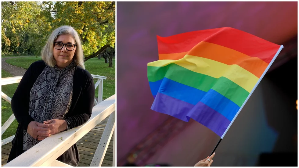 Ann Holmlid är länsråd i Östergötland. Hon är positiv till regeringens nya satsning.