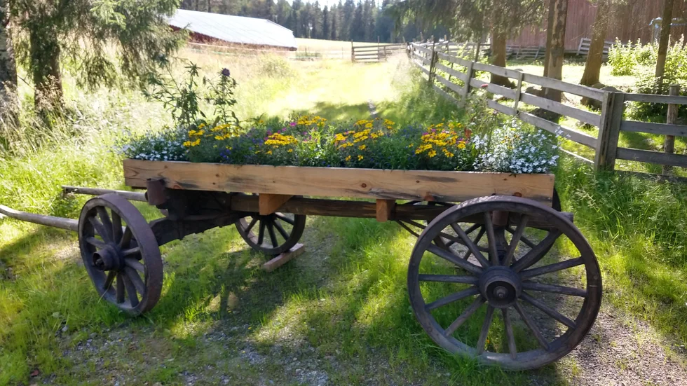 Fin läsarbild från Glommersträsk.
