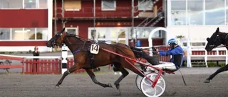Hemmaamatören drömmer om V75-start efter den virvlande segerspurten: "Emelie har gjort ett jättejobb med hästen"