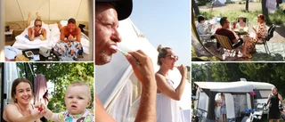 Campingboom på Gotland – kan bli nytt rekordår: ”Just nu är det svårt att hitta en ledig plats”