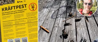 Stor sorg i kräftpestens spår • Kritiken mot arbetet: ”Det borde gått fortare”