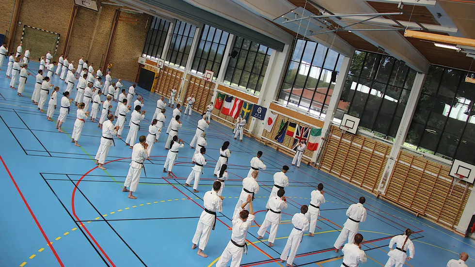 Dryga 80-talet deltagare från Europa och resten av världen utvecklade sitt kunnande i Enköping.