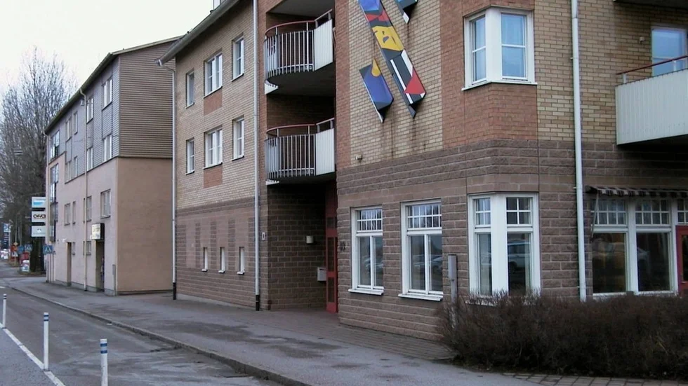 cypressen