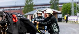 Bodenhästen i absoluta toppstriden – men favoriten höll i Norrbottens stora pris