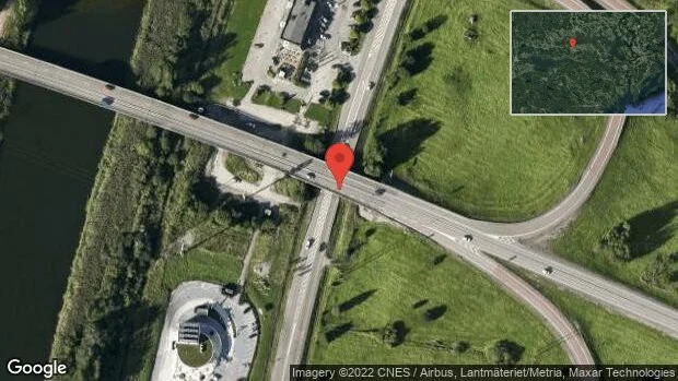 Rådjur på vägen på E20