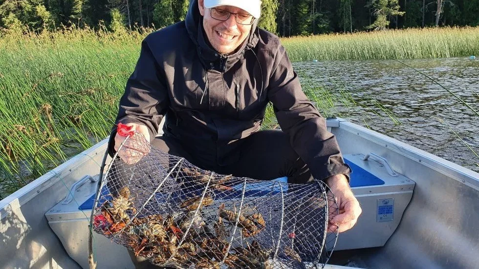 "Kräftorna kokas och ska sedan ligga i lag i minst ett dygn och dra åt sig smaken ordentligt", säger Mikael Jakobsson.