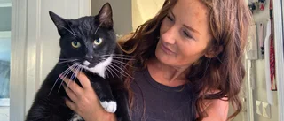 Så gick det för kändiskatten Lennart i Årets lussekatt