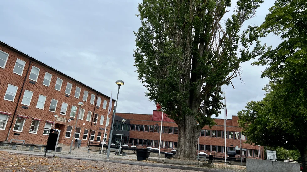 Det är den höga poppeln vid Berzeliusskolans entré som måste tas ner. 