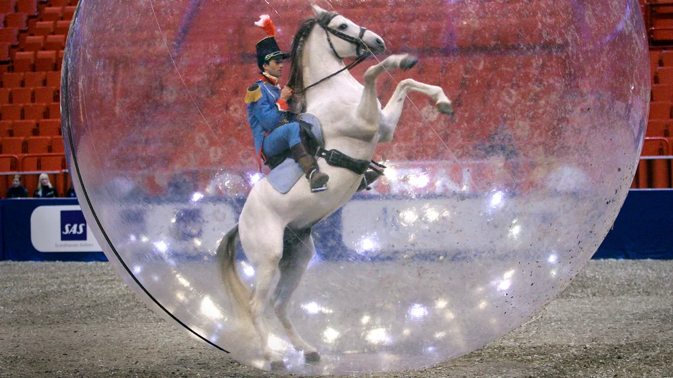 Här ser vi en häst med ryttare i en jättelik bubbla från Stockholm Horse show 2006. Dagens debattör varnar för att höga politikerlöner sätter politikerna i en egen bubbla; långt borta från vanligt folks verkligheter. 