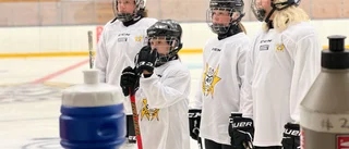 Ungdomar på årets hockeyläger önskar is året runt. 