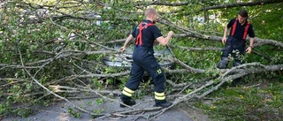 "Hörde ett våldsamt brak"