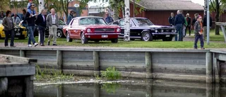 Djurisk start på motorträffen
